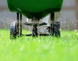 Fertilizing-your-lawn