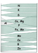 Soil-pH