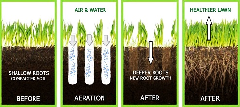 What-is-Aeration